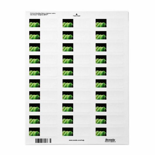 python met groene bomen etiket (Full Sheet)