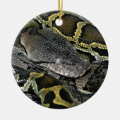 Python molurus bivittatus keramisch ornament (Voorkant)