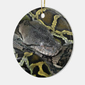 Python molurus bivittatus keramisch ornament (Links)