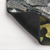 Python molurus bivittatus muismat (Hoek)