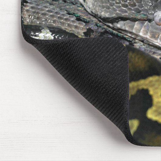 Python molurus bivittatus muismat (Hoek)