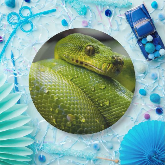Python Papieren Bordje (Feest)