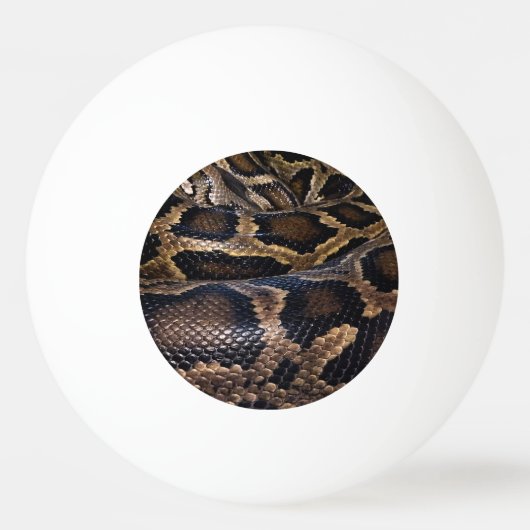 Python Pingpongbal (Voorkant)