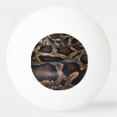 Python Pingpongbal (Achterkant)