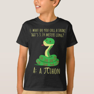Python Pithon Pi Sybol Funny Wiskunde Teacher Pi D T-shirt