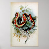 PYTHON! POSTER (Voorkant)