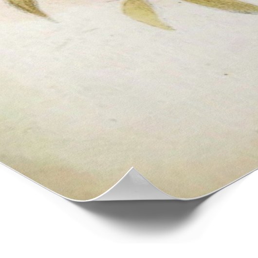 PYTHON! POSTER (Hoek)