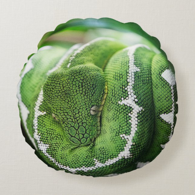 Python Rond Kussen (Voorkant)