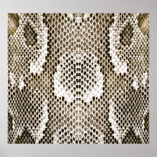 Python Skin: Dierlijk Patroon Ontwerp Poster (Voorkant)