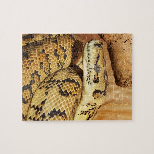 Python slang legpuzzel (Horizontaal)