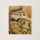 Python slang legpuzzel (Verticaal)