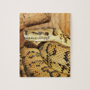 Python slang legpuzzel