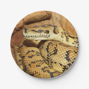 Python slang papieren bordje