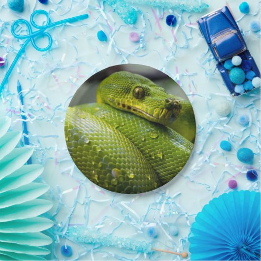 Python Snake Animal Papieren Bordje (Feest)