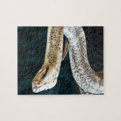 Python Snake Legpuzzel (Horizontaal)