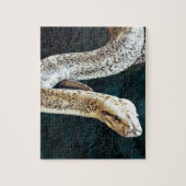Python Snake Legpuzzel (Verticaal)