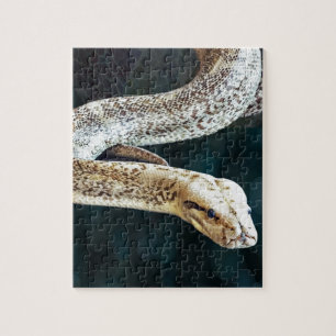 Python Snake Legpuzzel