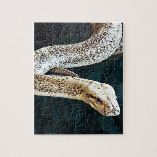 Python Snake Legpuzzel (Verticaal)