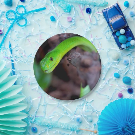 Python Snake Papieren Bordje (Feest)