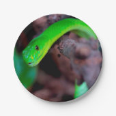 Python Snake Papieren Bordje (Voorkant)