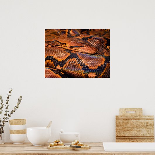 Python Snake Poster (Keuken)