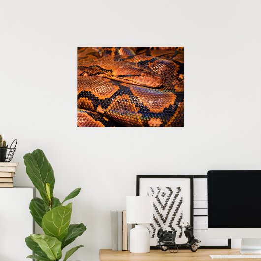 Python Snake Poster (Thuiskantoor)