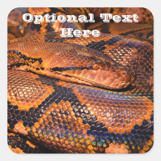 Python Snake Vierkante Sticker (Voorkant)