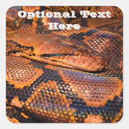 Python Snake Vierkante Sticker