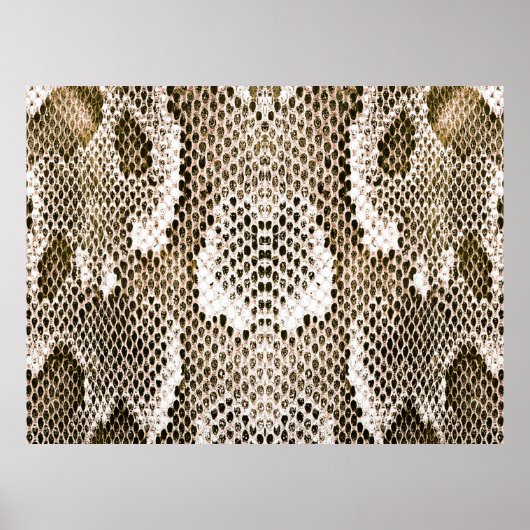 pythonhuid, slangenpatroon, dierlijk huidpatroon d poster (Voorkant)