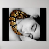 Python's Lullaby Poster (Voorkant)