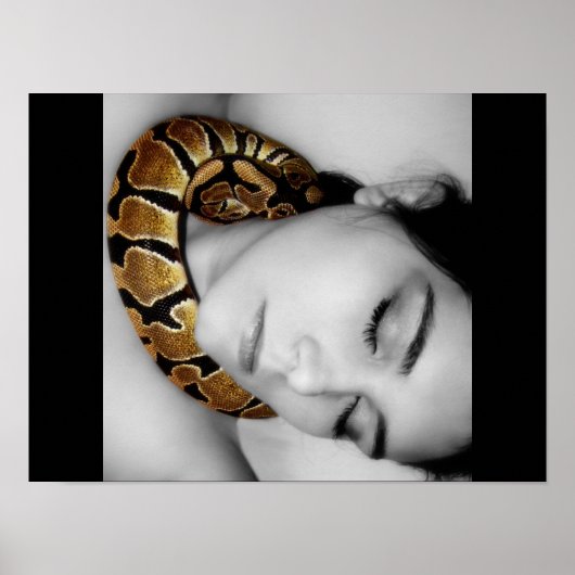 Python's Lullaby Poster (Voorkant)