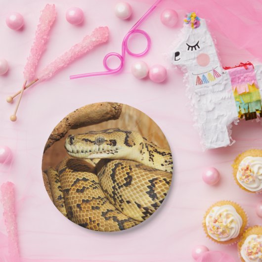 Pythonslang Papieren Bordje (Feest)