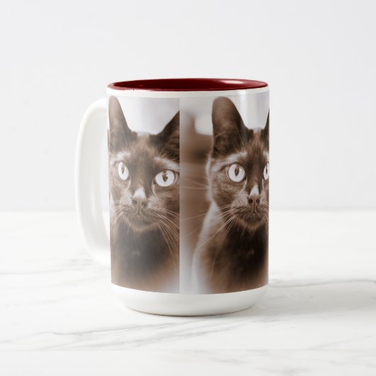 Pywacket Potrait I Mok (Voorkant links)