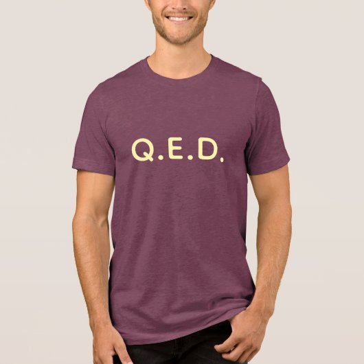 Q.E.D. Miami City Tri-Blend Shirt (Voorkant)