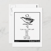 Q was ooit een beetje kwartel briefkaart (Voorkant / Achterkant)