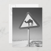 Qatar, Al Zubarah. Camel Crossing Sign-Road naar Briefkaart (Voorkant / Achterkant)
