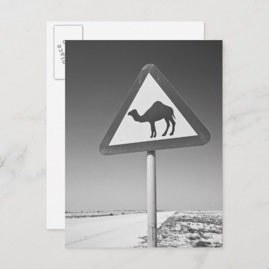 Qatar, Al Zubarah. Camel Crossing Sign-Road naar Briefkaart (Voorkant / Achterkant)
