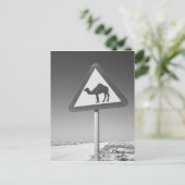 Qatar, Al Zubarah. Camel Crossing Sign-Road naar Briefkaart (Staand voorkant)
