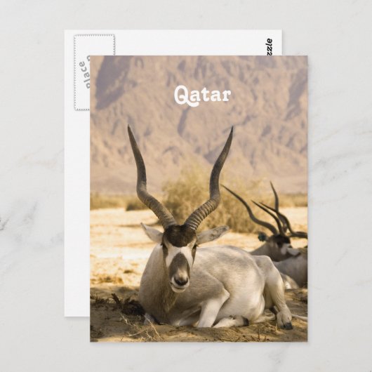 Qatar Briefkaart (Voorkant / Achterkant)