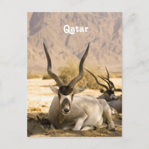 Qatar Briefkaart