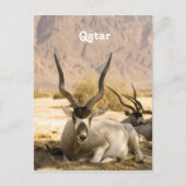 Qatar Briefkaart (Voorkant)