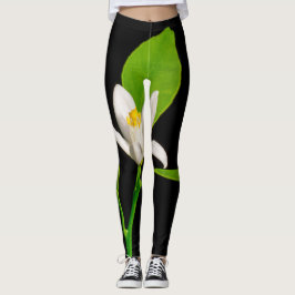 QATTOOS-Leggings Leggings