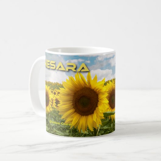 QC NESARA/GESARA MOK H (Voorkant links)