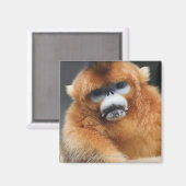 Qinling Mountains Magneet (Voorkant / Achterkant)