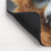 Qinling Mountains Muismat (Hoek)