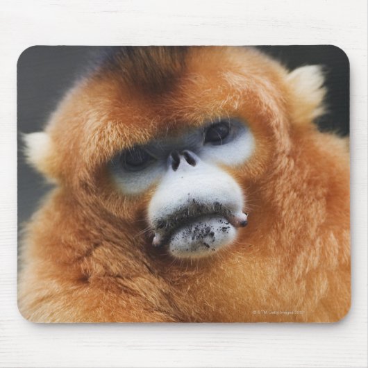 Qinling Mountains Muismat (Voorkant)