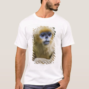 Qinling Mountains, okt. 2006 T-shirt