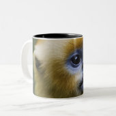 Qinling Mountains, okt. 2006 Tweekleurige Koffiemok (Voorkant links)