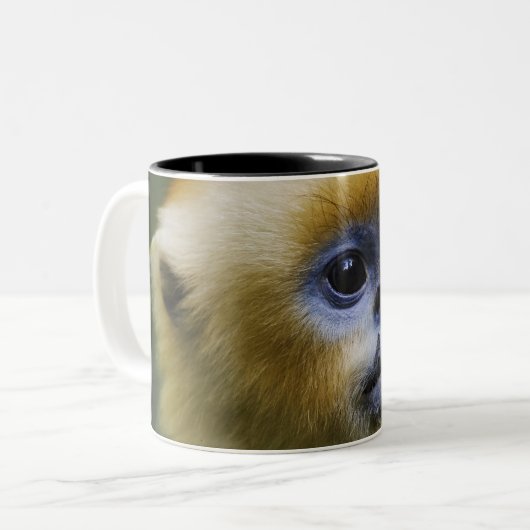 Qinling Mountains, okt. 2006 Tweekleurige Koffiemok (Voorkant links)