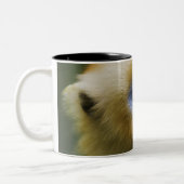 Qinling Mountains, okt. 2006 Tweekleurige Koffiemok (Links)